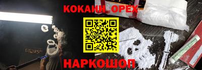 крисы Краснознаменск