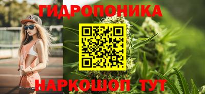 крисы Краснознаменск