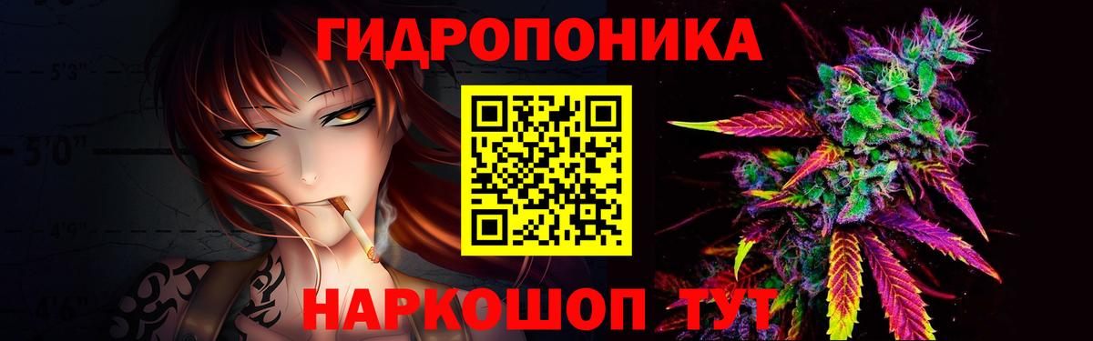 Конопля план  Вход с VPN  Конопля сатива  Удомля 